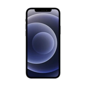 iPhone 12 mini 256 Go Noir