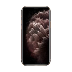 iPhone 11 Pro Max 256 Go Gris
