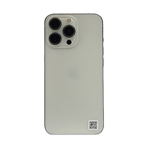 iPhone 13 Pro 256 GB Zilver - Uniek product
